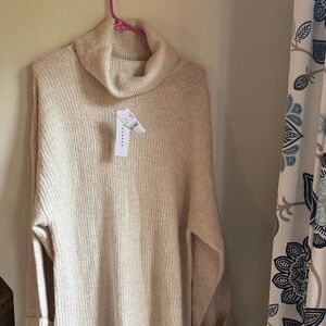 Cozy Cream Turtleneck Sweater Dress